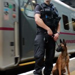 Trained police dogs are often used to combat crime on the rail network