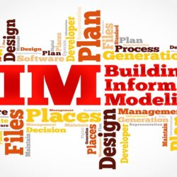 Bifm training essay 03 image